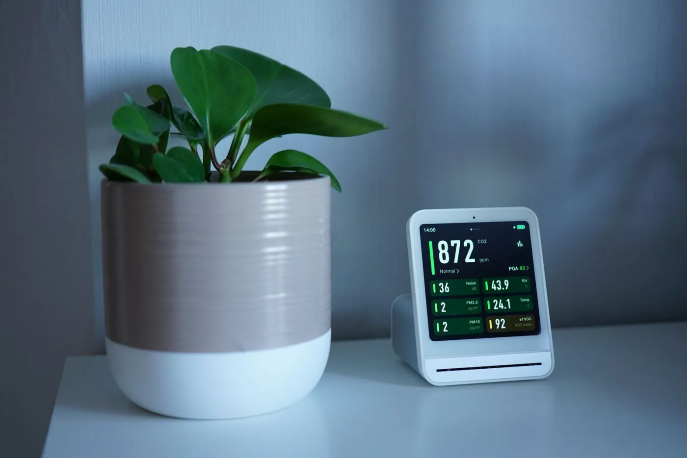 Indoor air-quality monitor showing a live CO₂ reading beside a plant